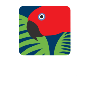 Rainforest Rescue
